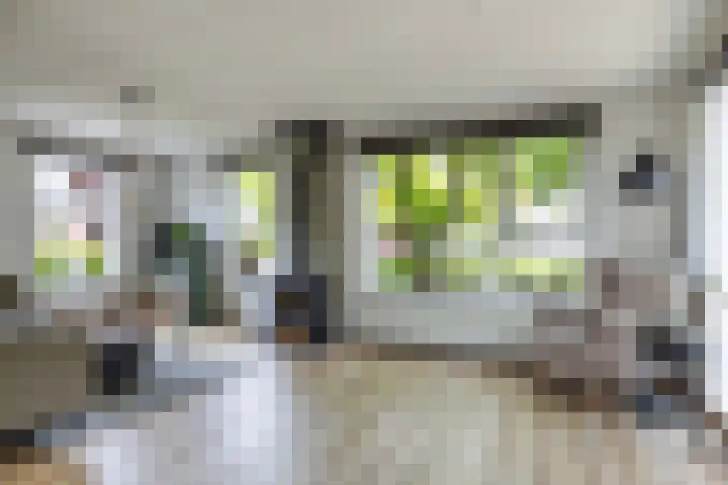 Reidikker 15 Ryptsjerk thumbnail 16