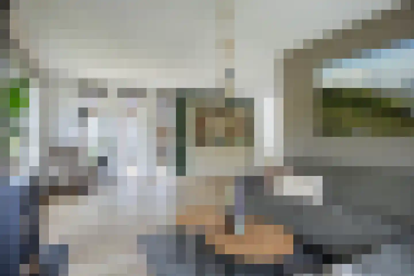 Reidikker 15 Ryptsjerk thumbnail 18