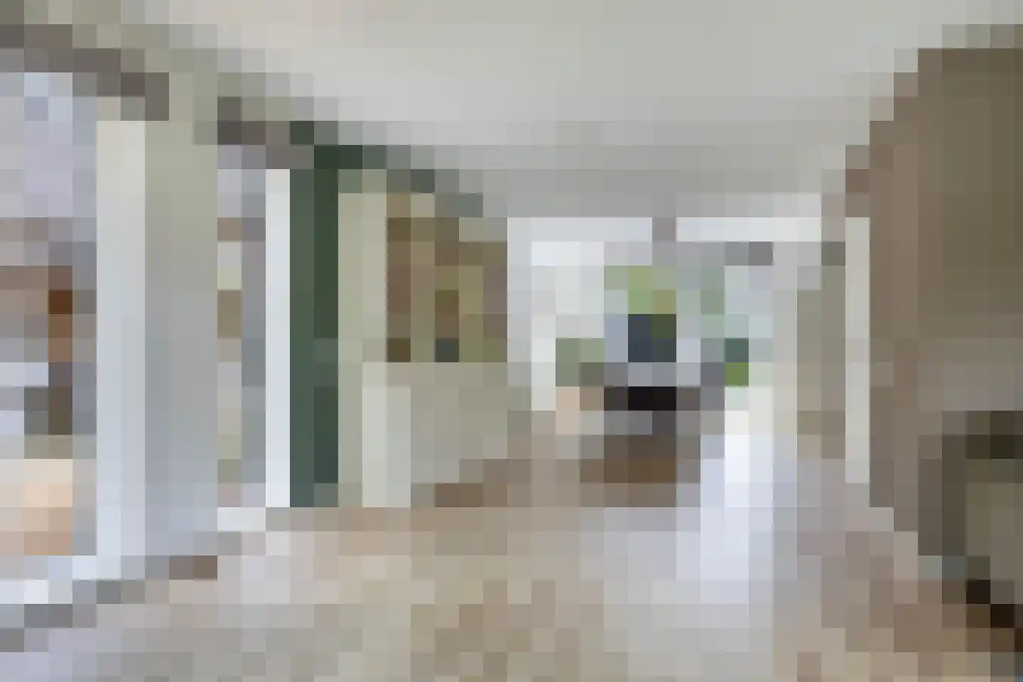 Reidikker 15 Ryptsjerk thumbnail 19