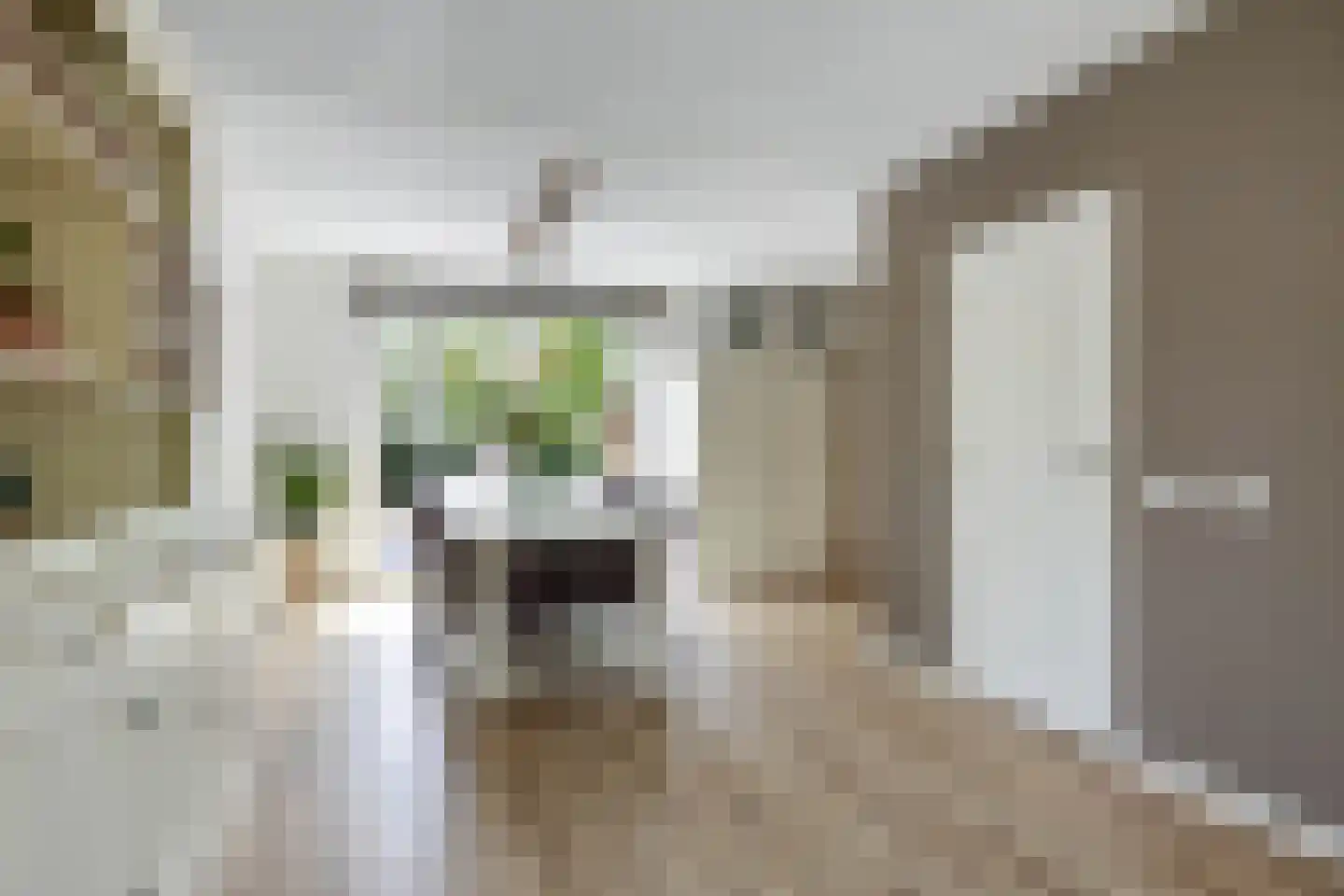 Reidikker 15 Ryptsjerk thumbnail 20