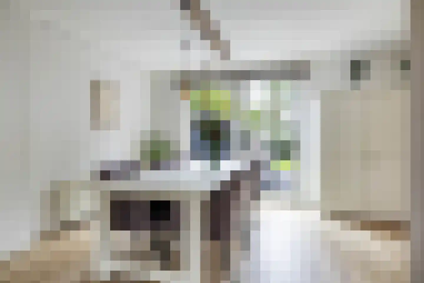 Reidikker 15 Ryptsjerk thumbnail 21