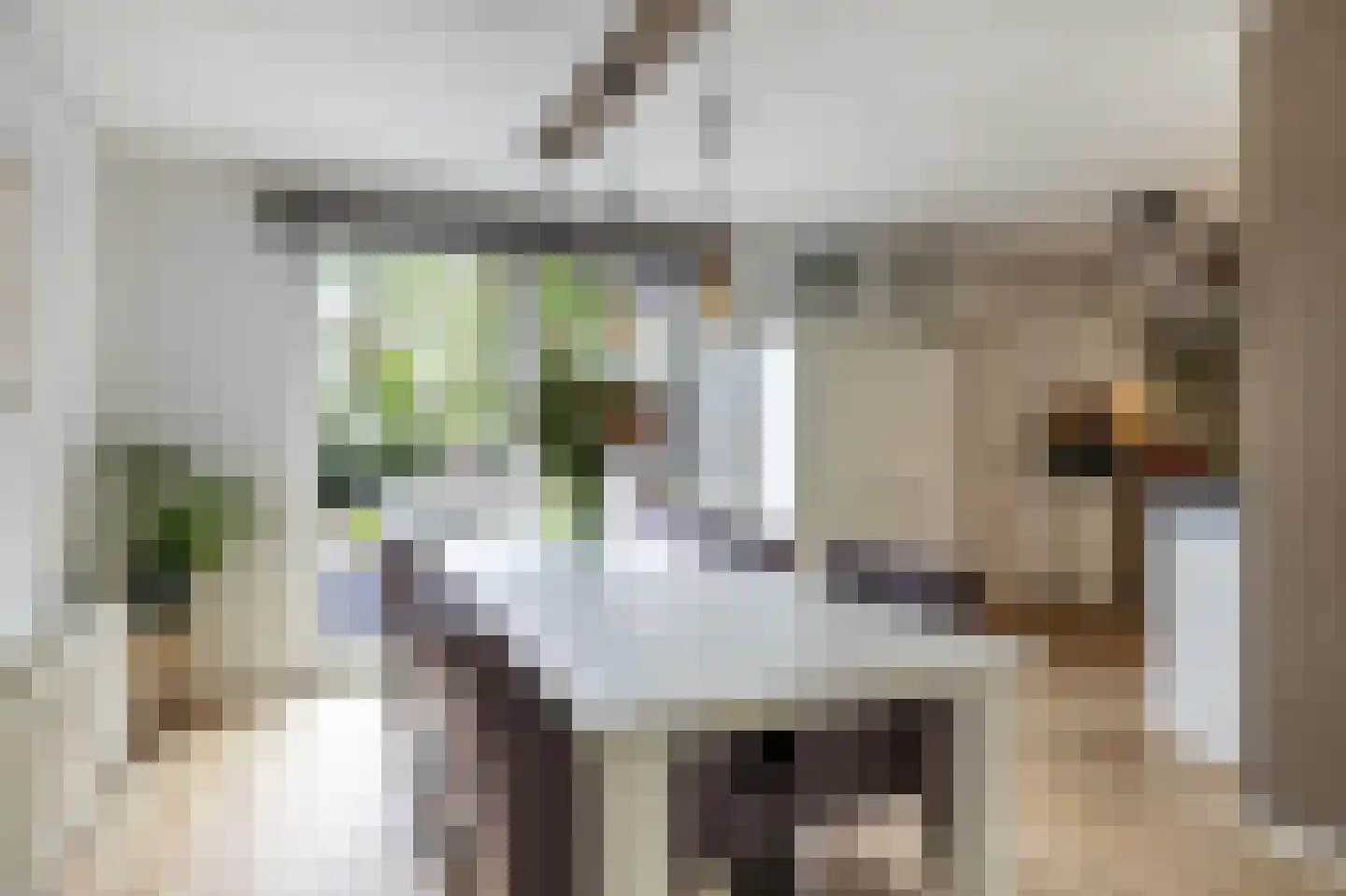 Reidikker 15 Ryptsjerk thumbnail 22