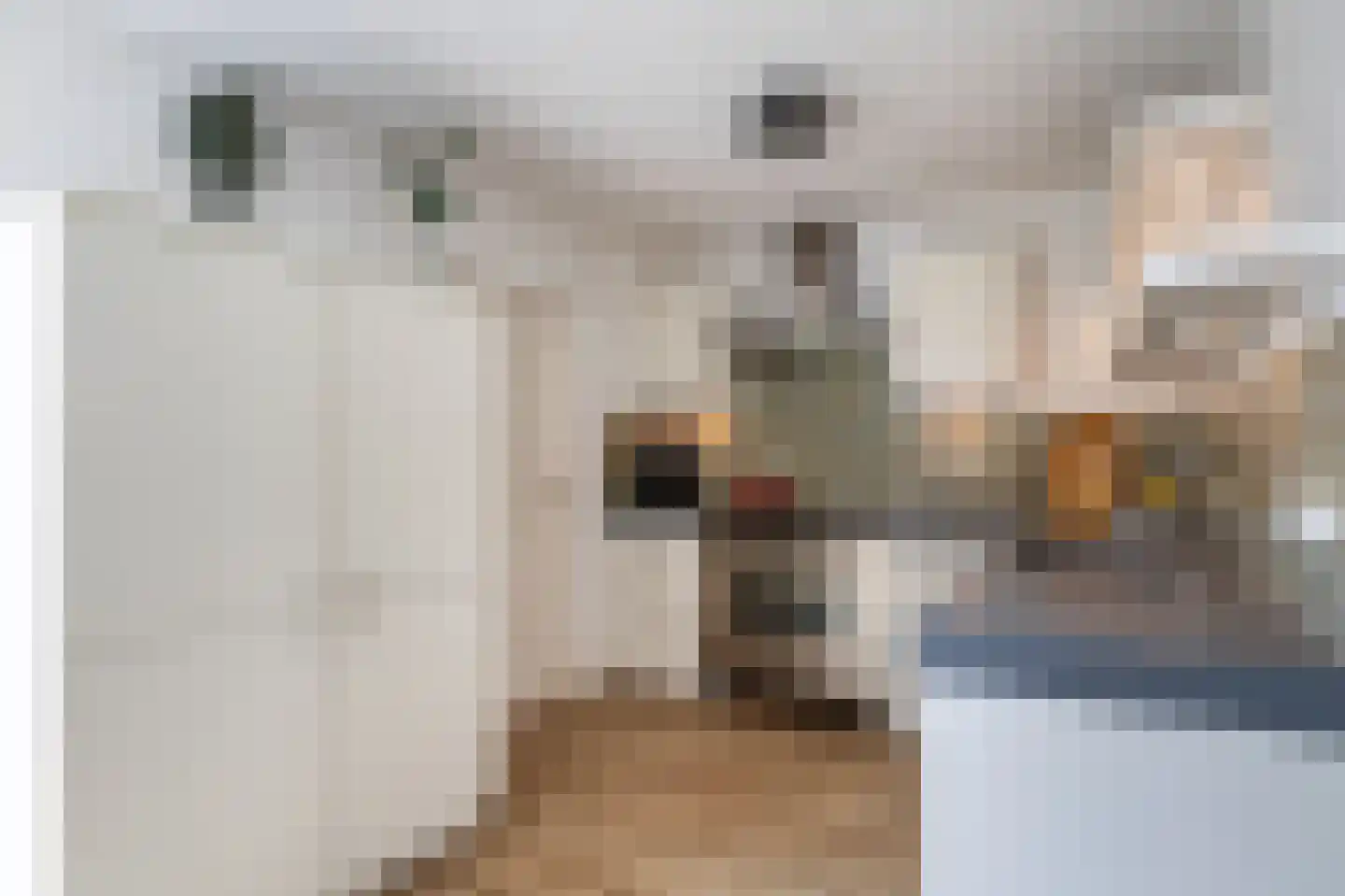 Reidikker 15 Ryptsjerk thumbnail 23