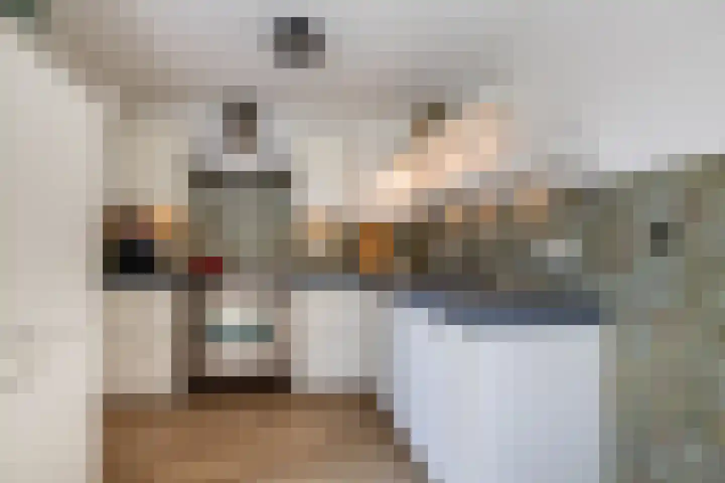 Reidikker 15 Ryptsjerk thumbnail 24