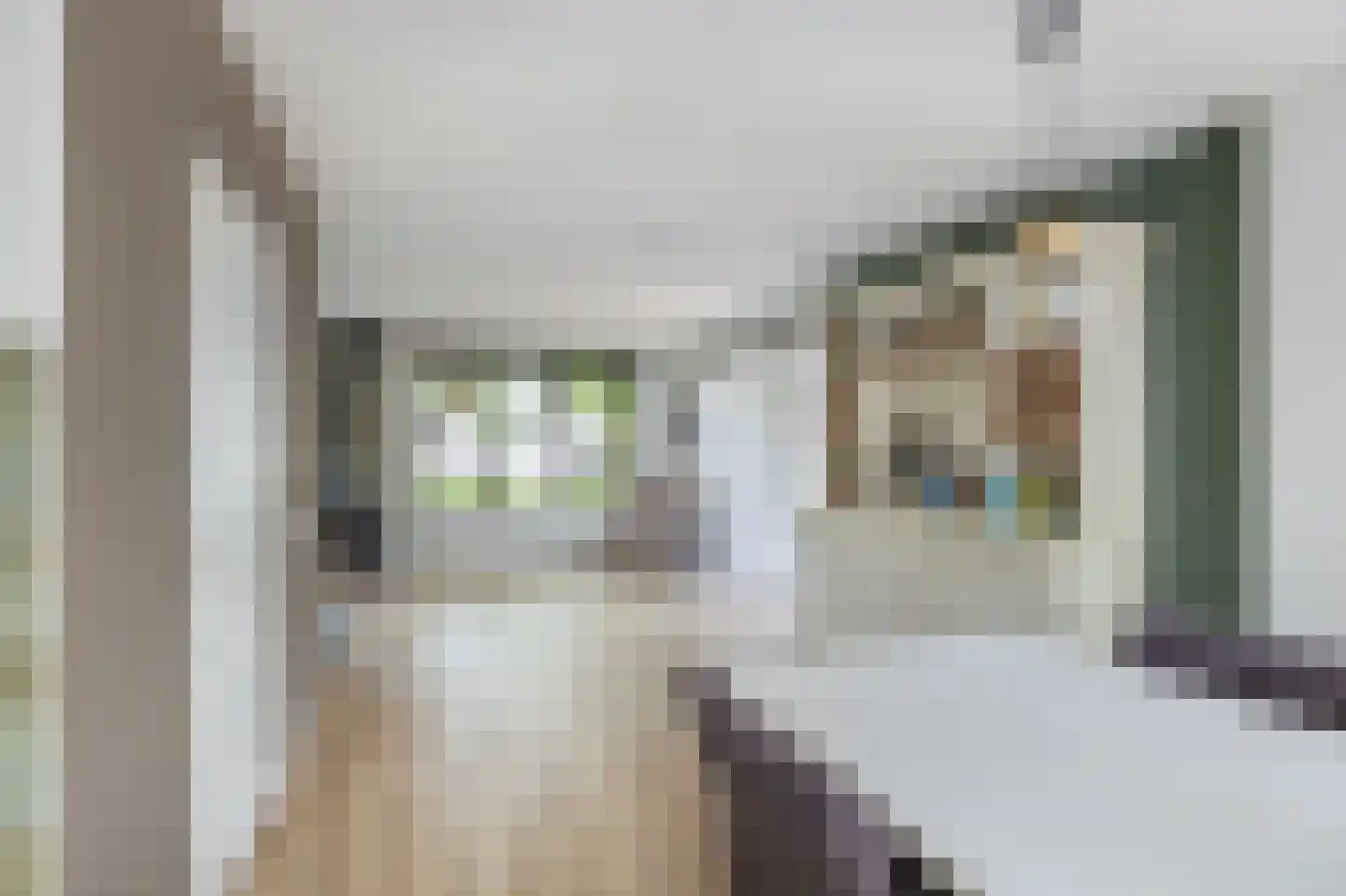 Reidikker 15 Ryptsjerk thumbnail 27