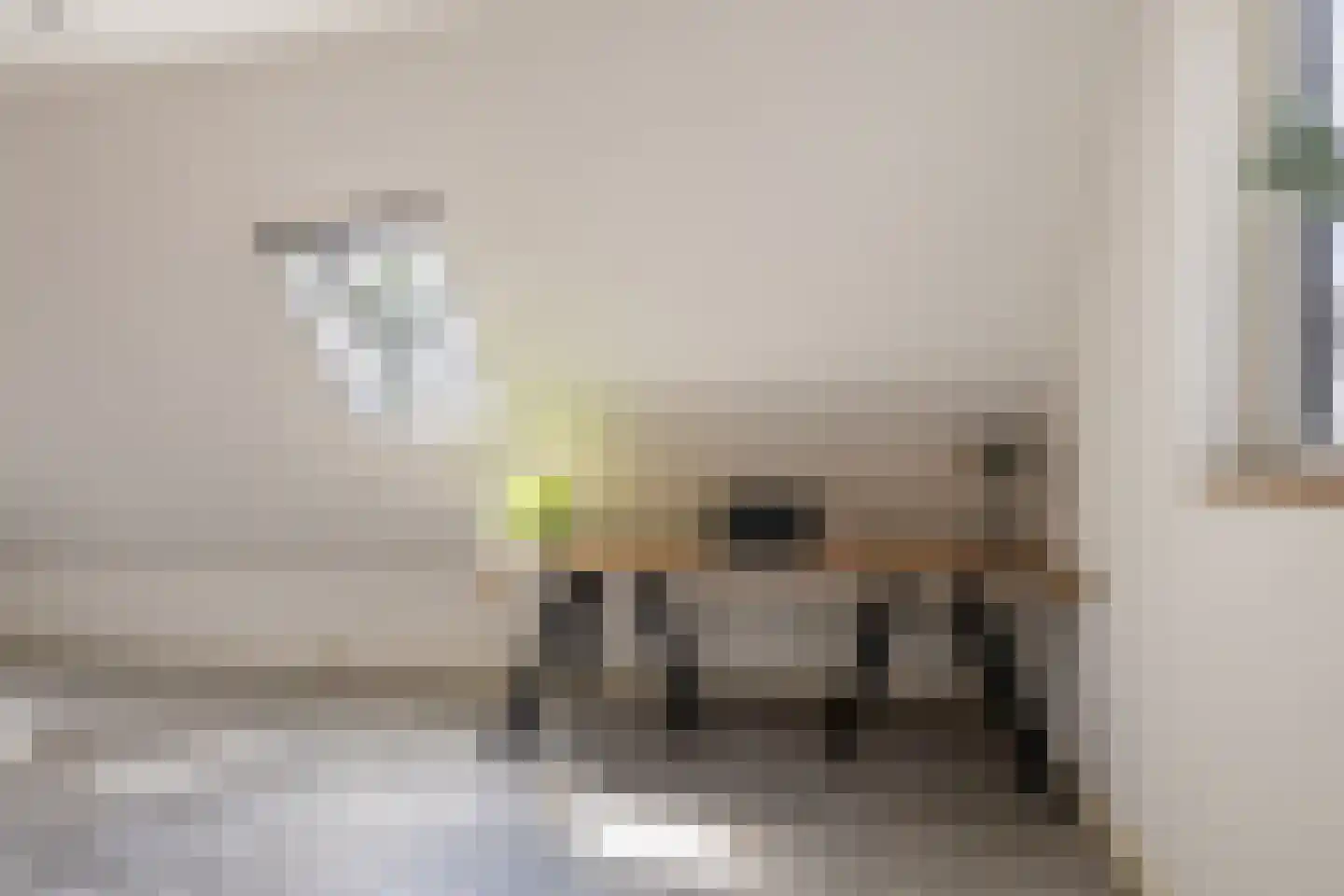 Reidikker 15 Ryptsjerk thumbnail 30