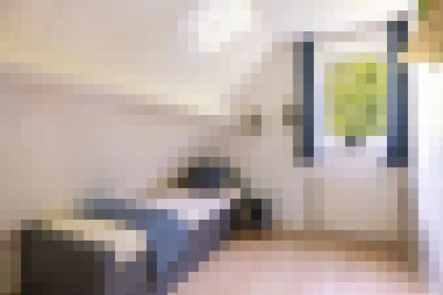 Reidikker 15 Ryptsjerk thumbnail 33