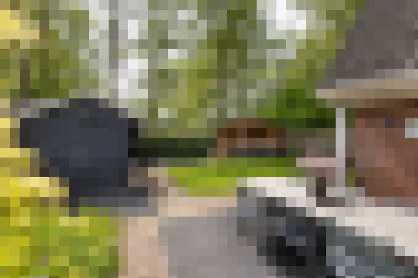 Reidikker 15 Ryptsjerk thumbnail 43
