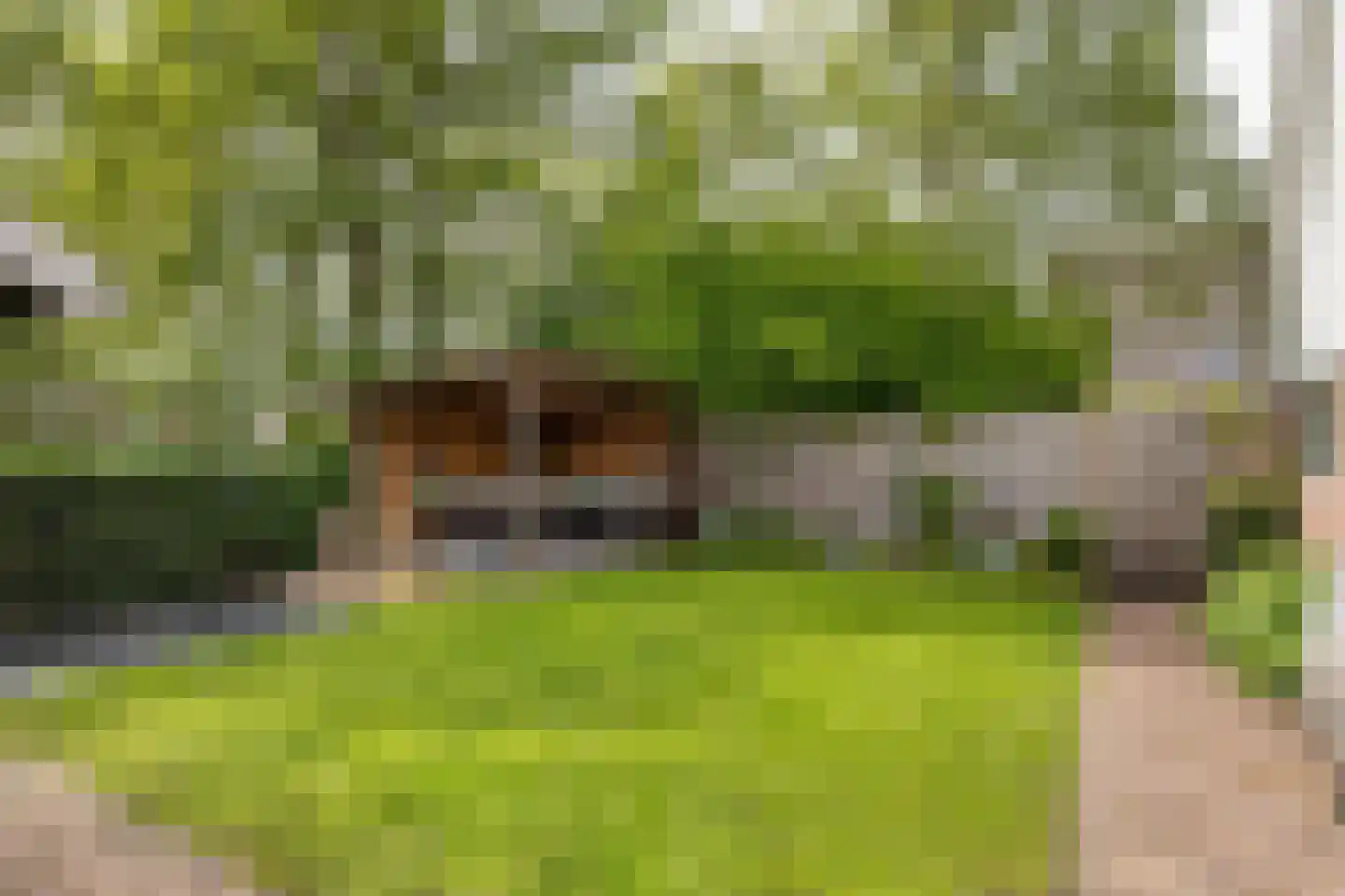 Reidikker 15 Ryptsjerk thumbnail 44