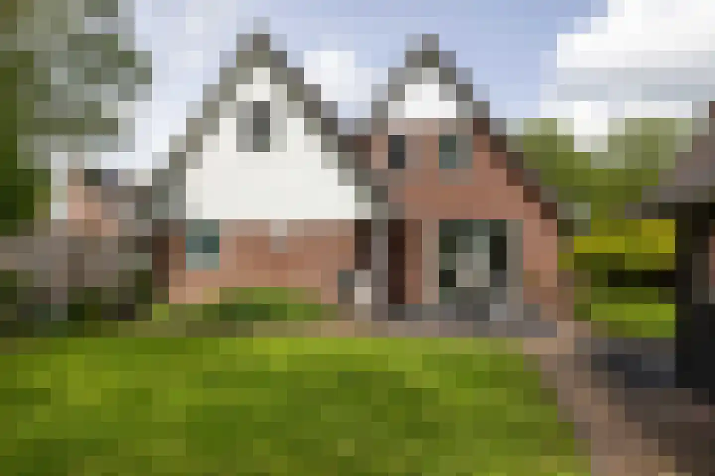 Reidikker 15 Ryptsjerk thumbnail 45