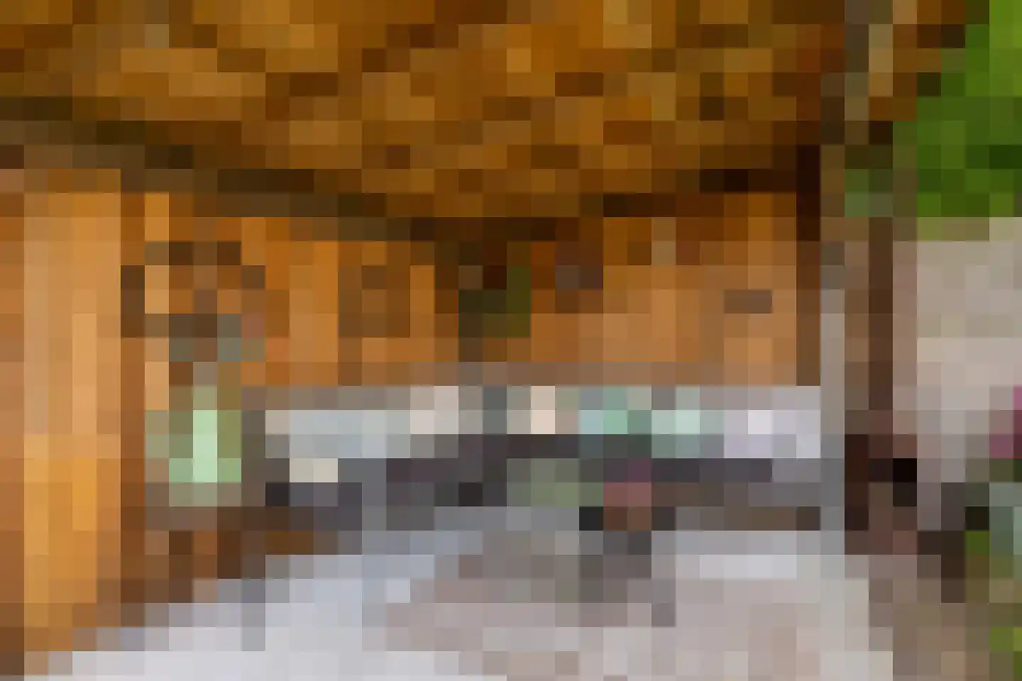 Reidikker 15 Ryptsjerk thumbnail 46