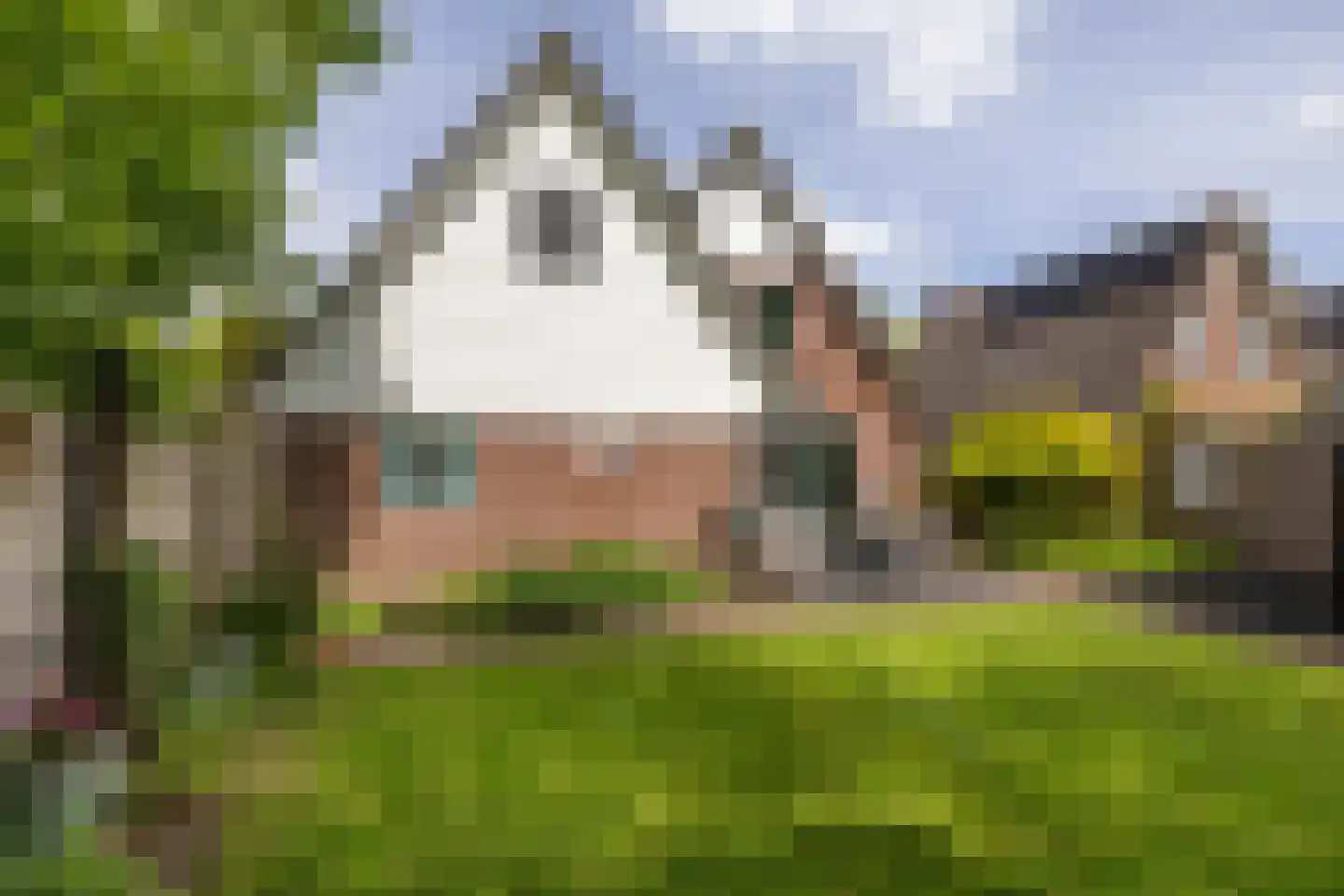 Reidikker 15 Ryptsjerk thumbnail 47