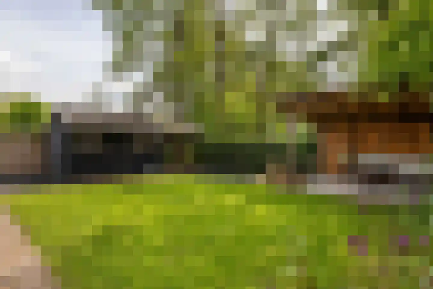 Reidikker 15 Ryptsjerk thumbnail 49