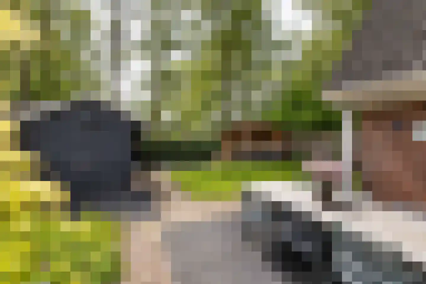 Reidikker 15 Ryptsjerk thumbnail 5