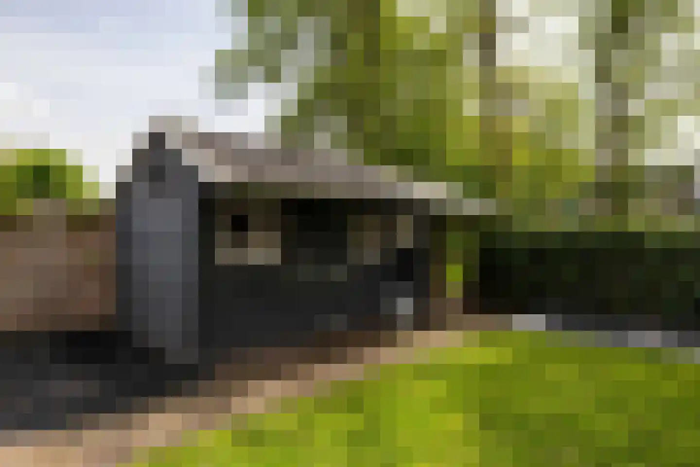 Reidikker 15 Ryptsjerk thumbnail 50