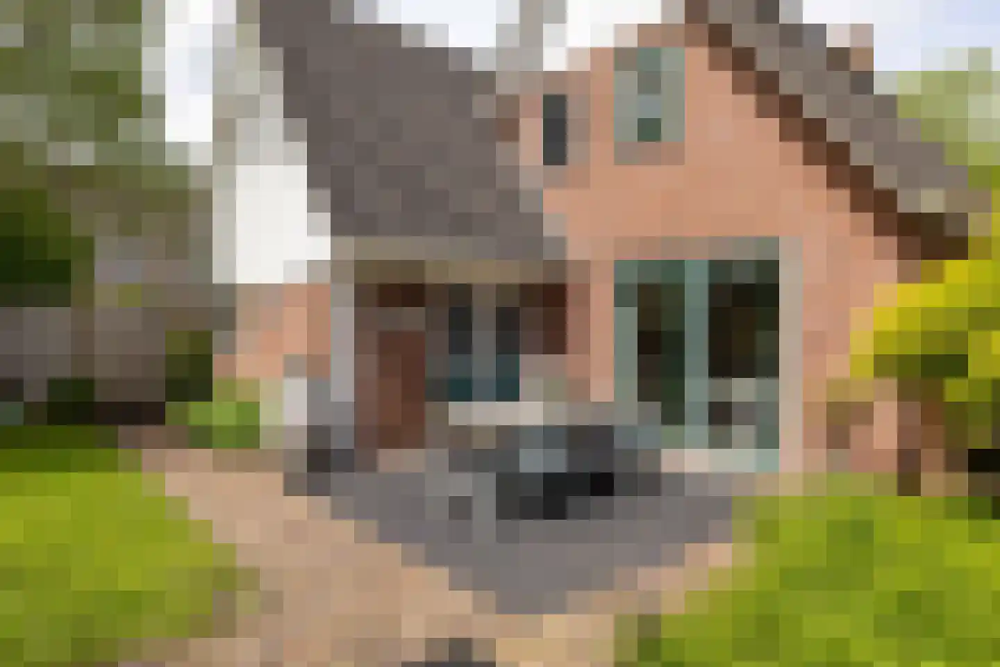 Reidikker 15 Ryptsjerk thumbnail 51