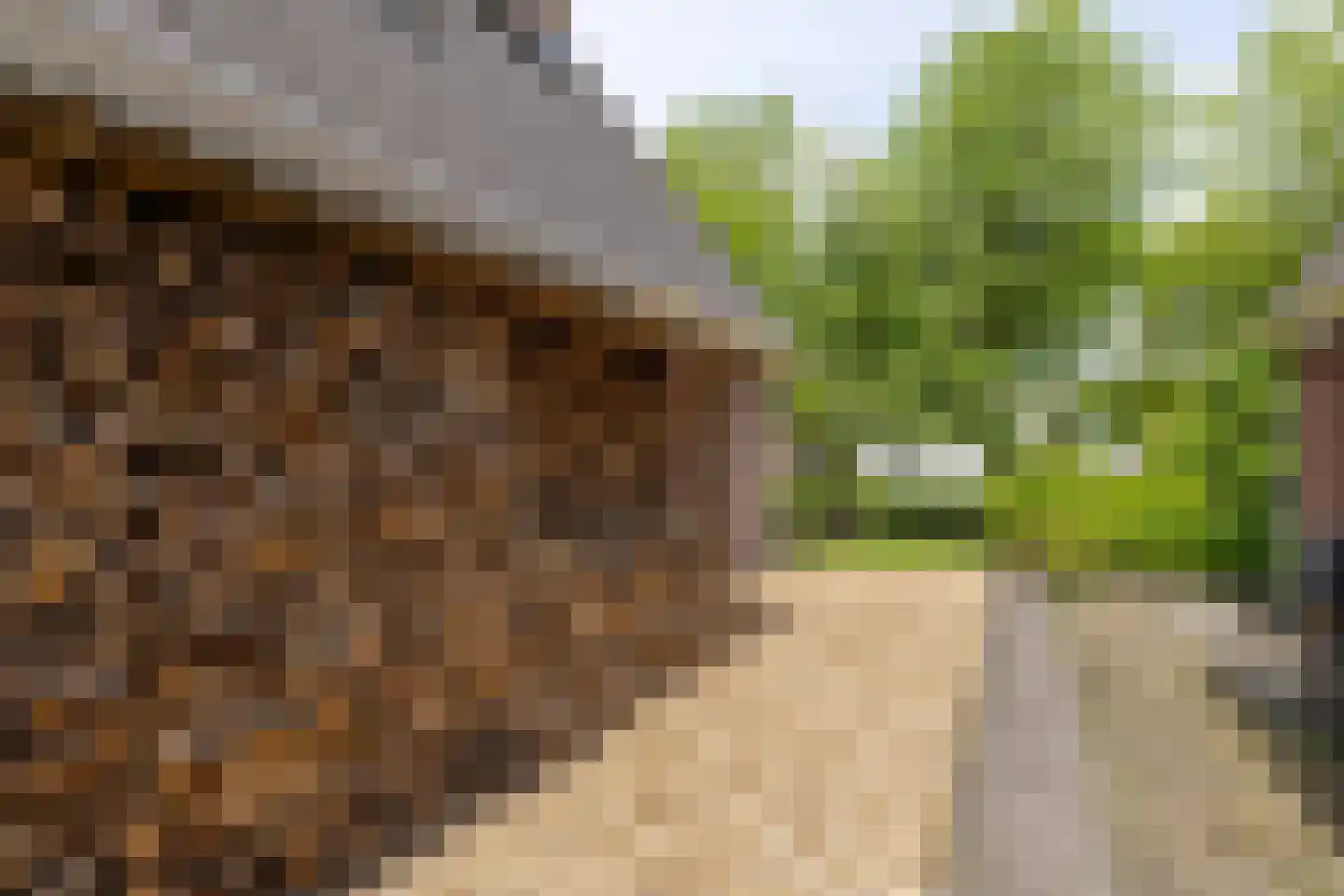 Reidikker 15 Ryptsjerk thumbnail 53