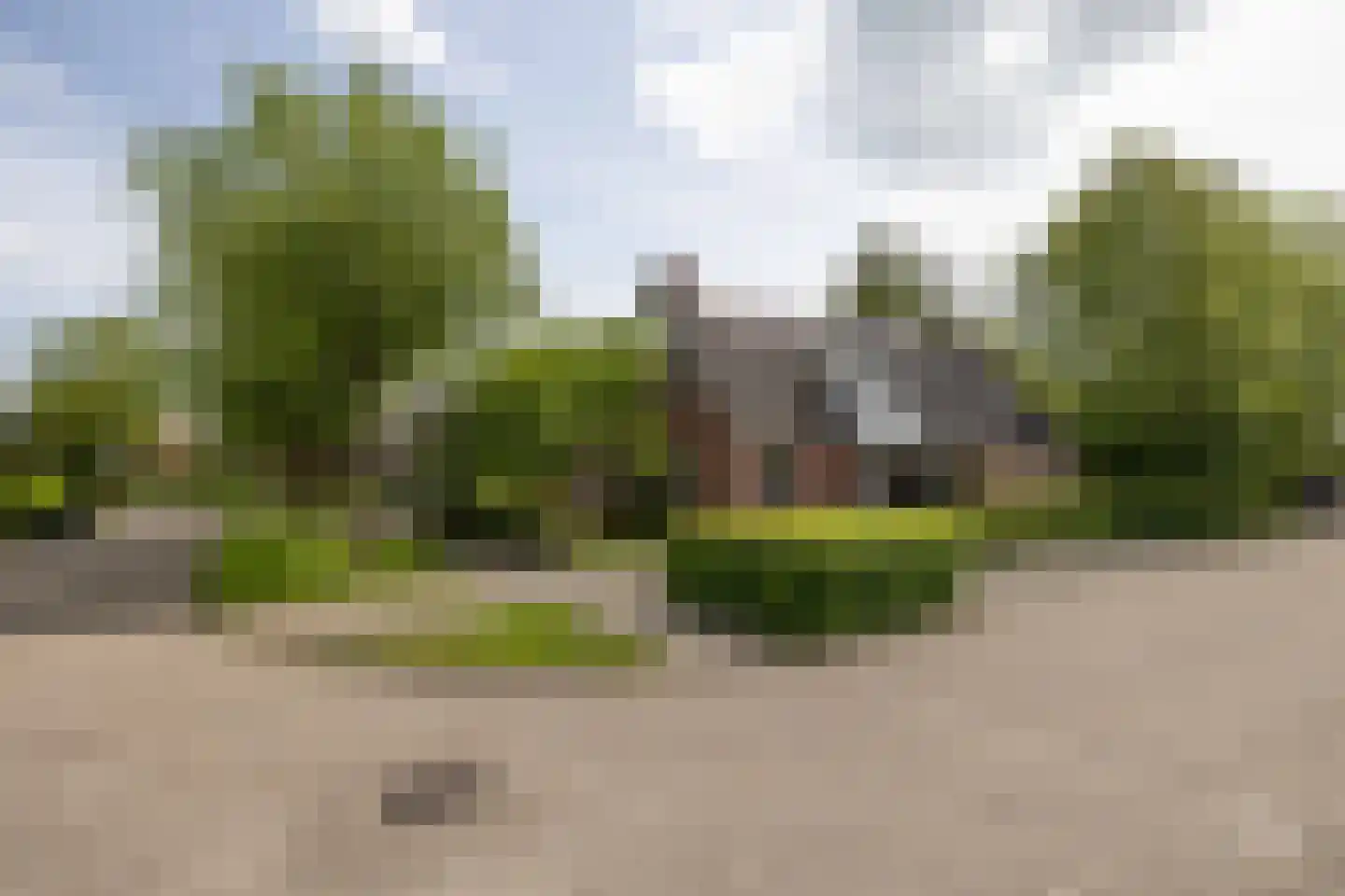 Reidikker 15 Ryptsjerk thumbnail 6
