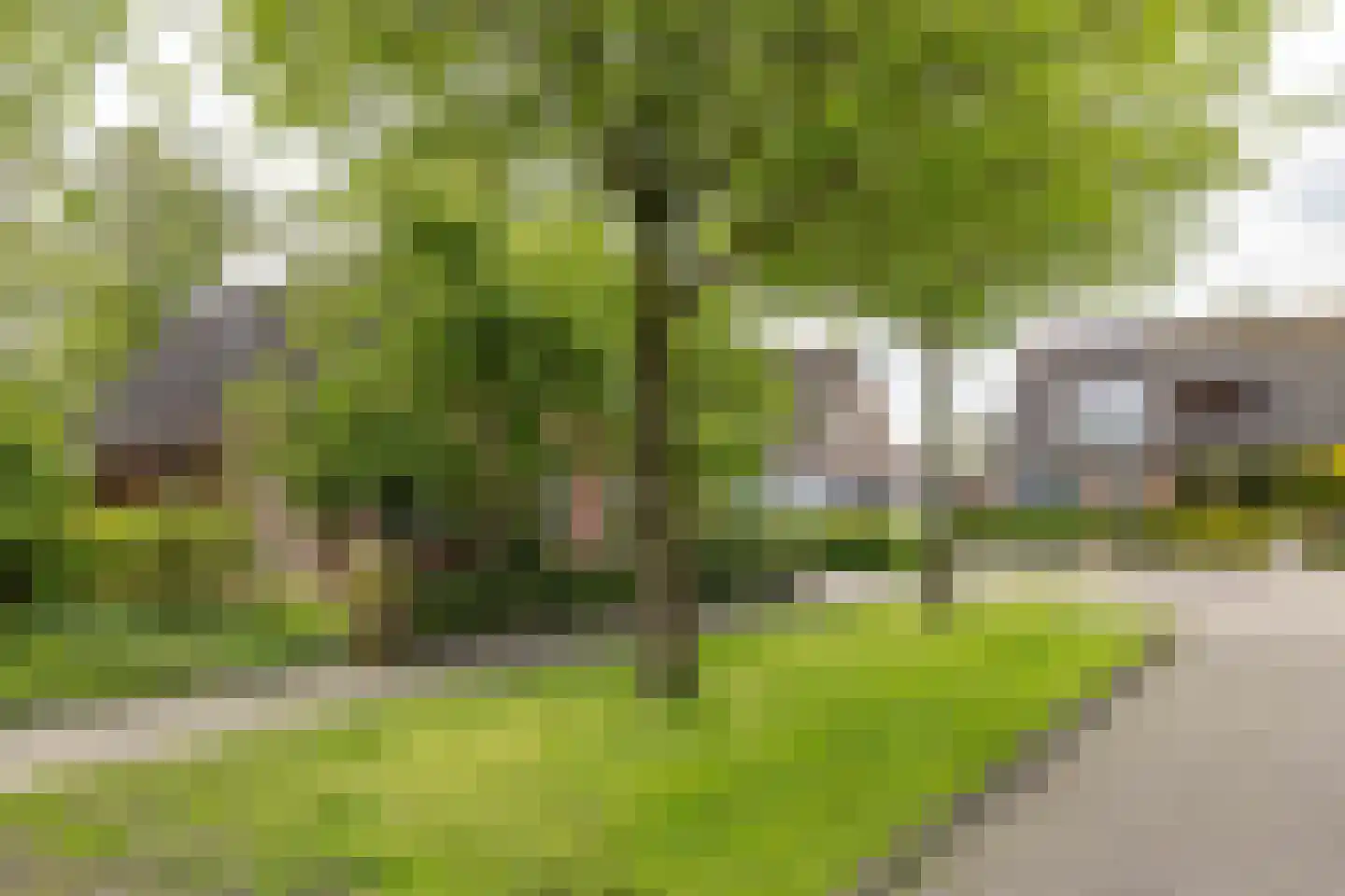 Reidikker 15 Ryptsjerk thumbnail 8