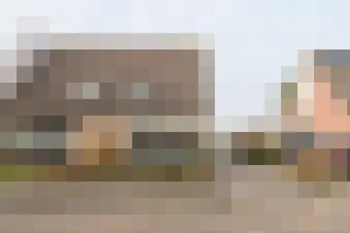 Reidikker 28 Ryptsjerk thumbnail 10
