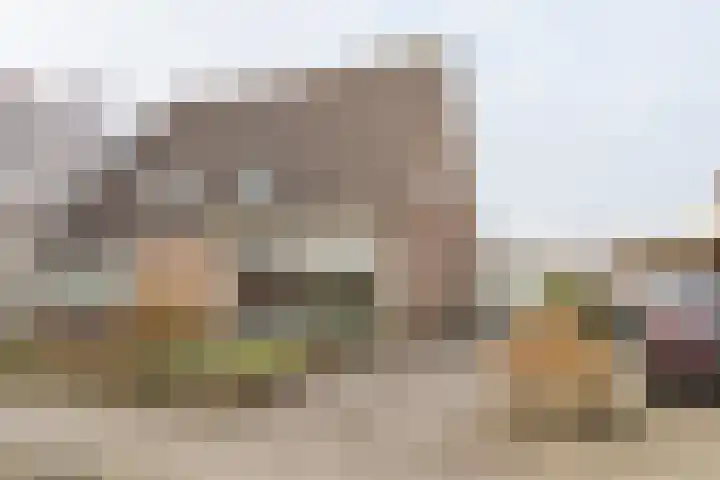 Reidikker 28 Ryptsjerk thumbnail 11