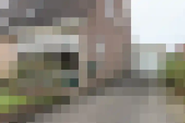Reidikker 28 Ryptsjerk thumbnail 12