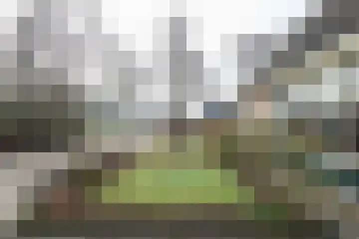 Reidikker 28 Ryptsjerk thumbnail 13