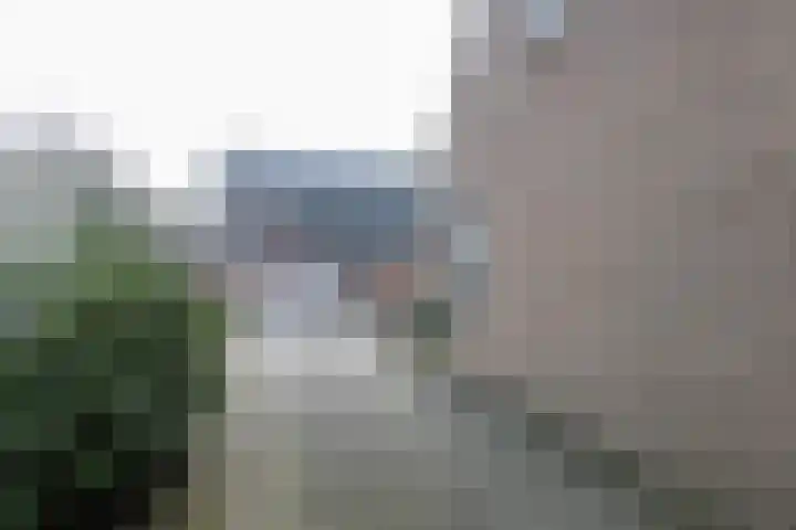 Reidikker 28 Ryptsjerk thumbnail 14