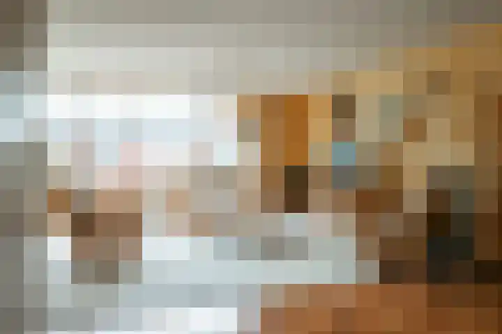 Reidikker 28 Ryptsjerk thumbnail 17