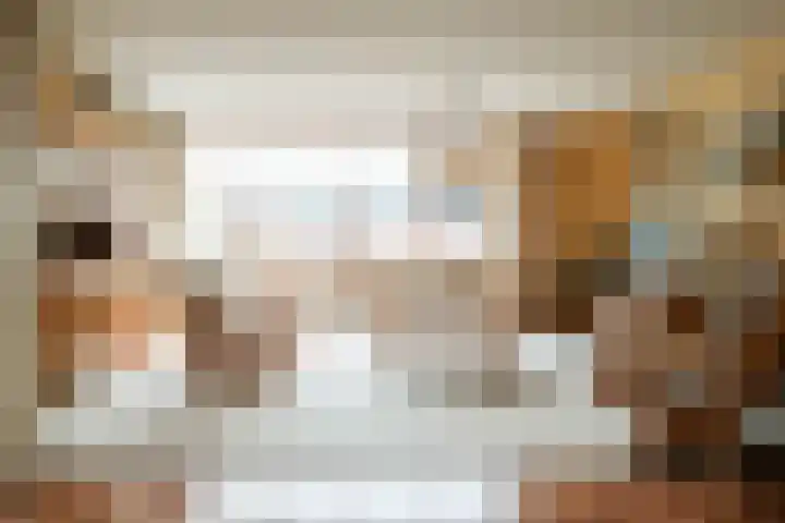 Reidikker 28 Ryptsjerk thumbnail 18