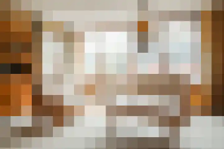 Reidikker 28 Ryptsjerk thumbnail 20