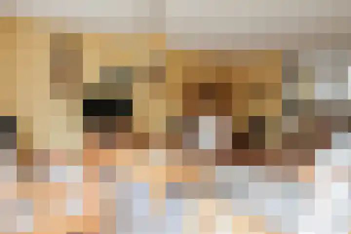 Reidikker 28 Ryptsjerk thumbnail 21