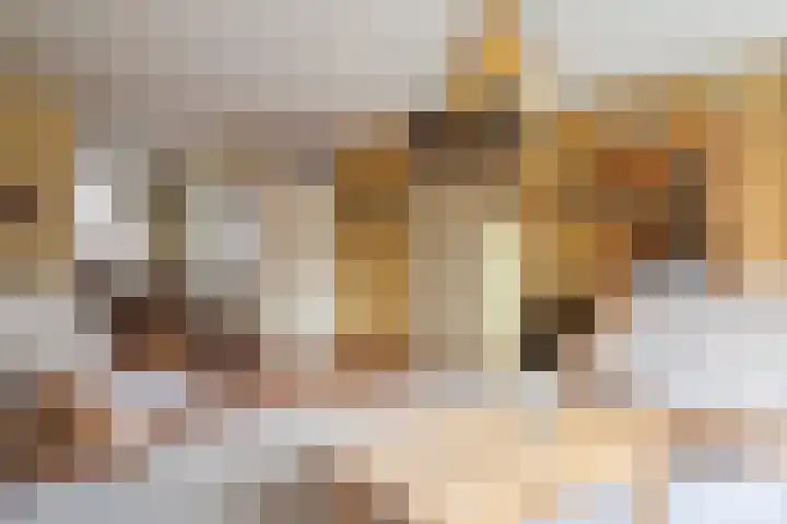 Reidikker 28 Ryptsjerk thumbnail 23