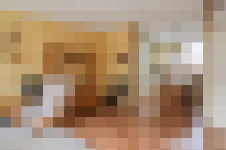 Reidikker 28 Ryptsjerk thumbnail 24