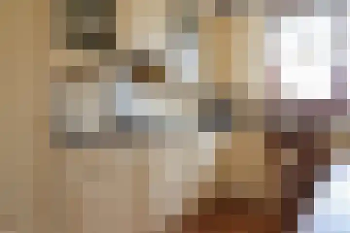 Reidikker 28 Ryptsjerk thumbnail 26