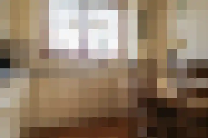 Reidikker 28 Ryptsjerk thumbnail 27