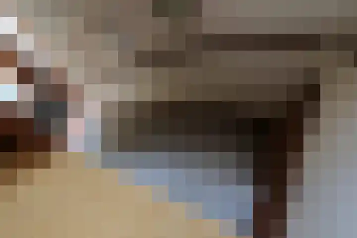 Reidikker 28 Ryptsjerk thumbnail 32