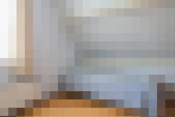 Reidikker 28 Ryptsjerk thumbnail 34
