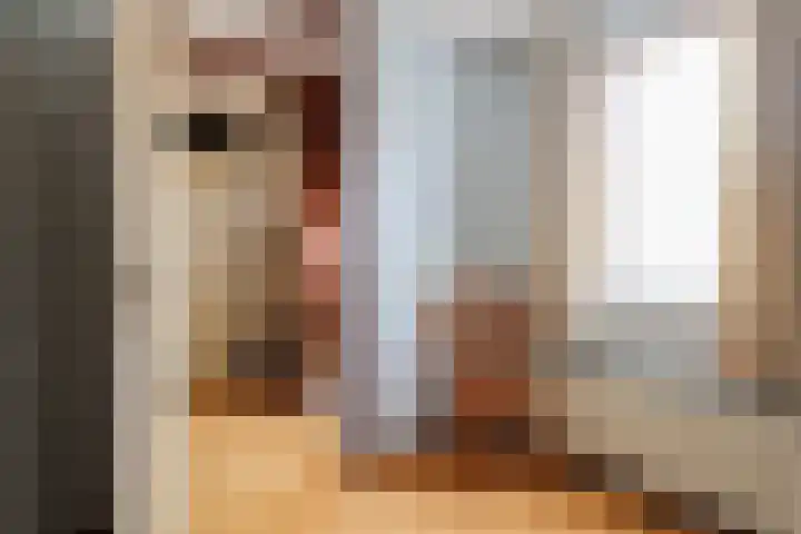 Reidikker 28 Ryptsjerk thumbnail 35