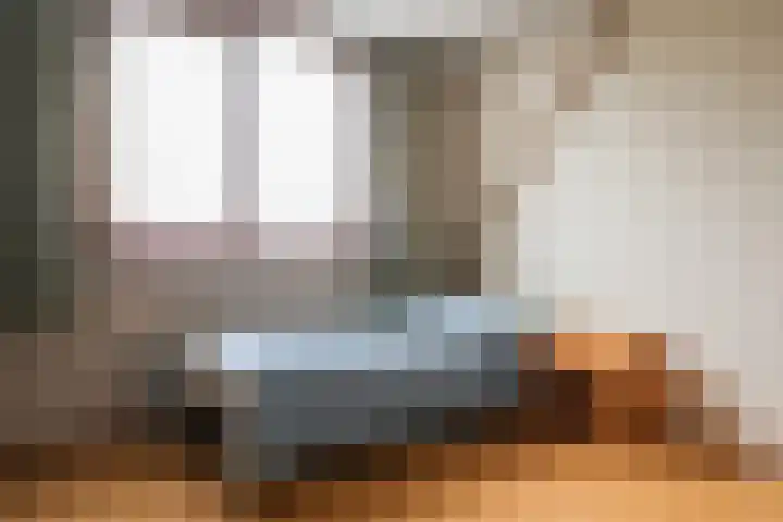 Reidikker 28 Ryptsjerk thumbnail 40