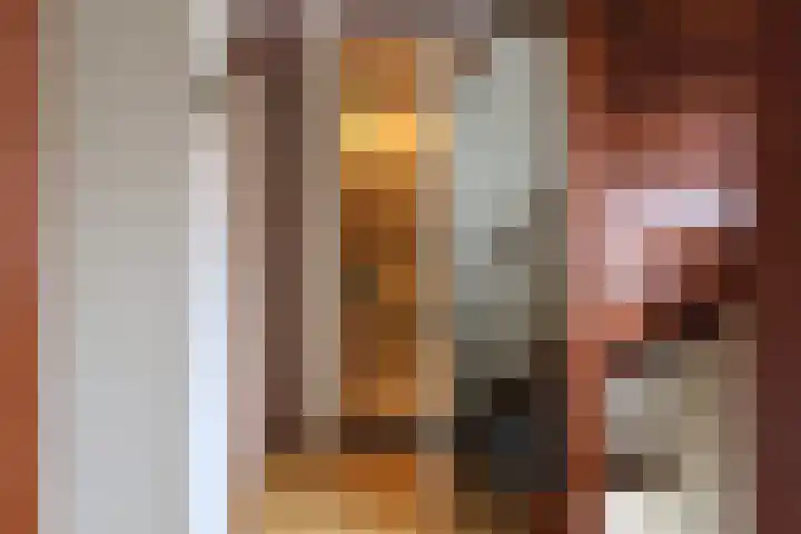 Reidikker 28 Ryptsjerk thumbnail 41