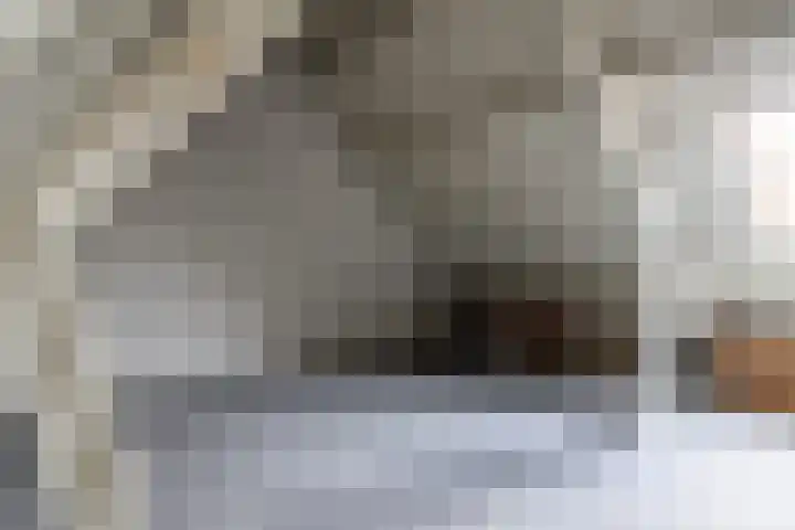 Reidikker 28 Ryptsjerk thumbnail 45
