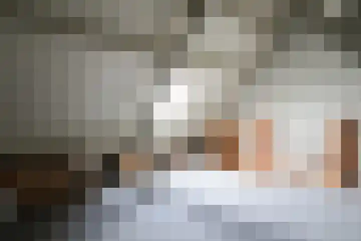 Reidikker 28 Ryptsjerk thumbnail 46