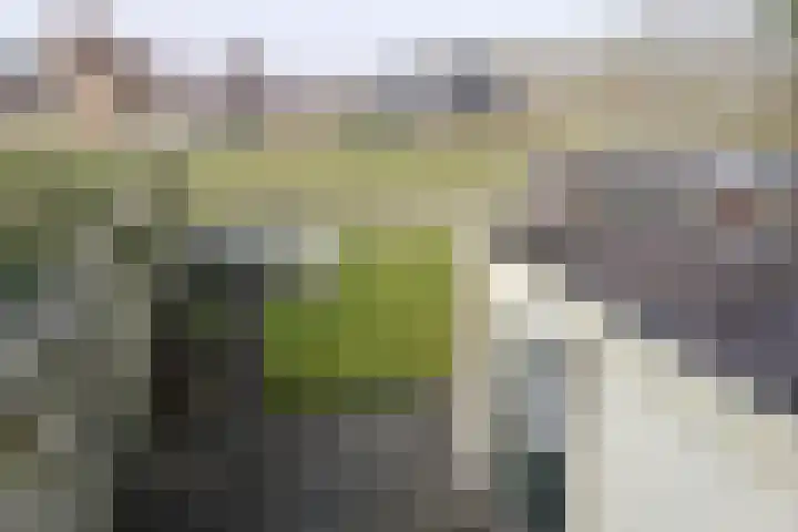 Reidikker 28 Ryptsjerk thumbnail 47