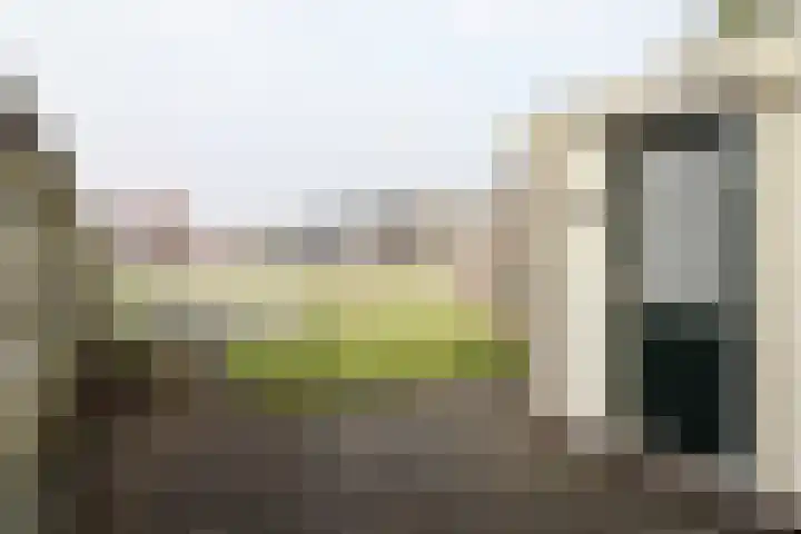 Reidikker 28 Ryptsjerk thumbnail 48