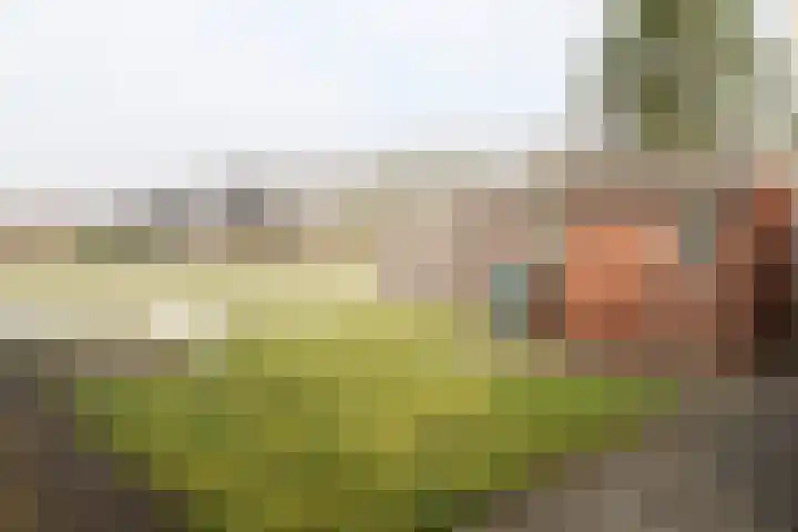 Reidikker 28 Ryptsjerk thumbnail 49