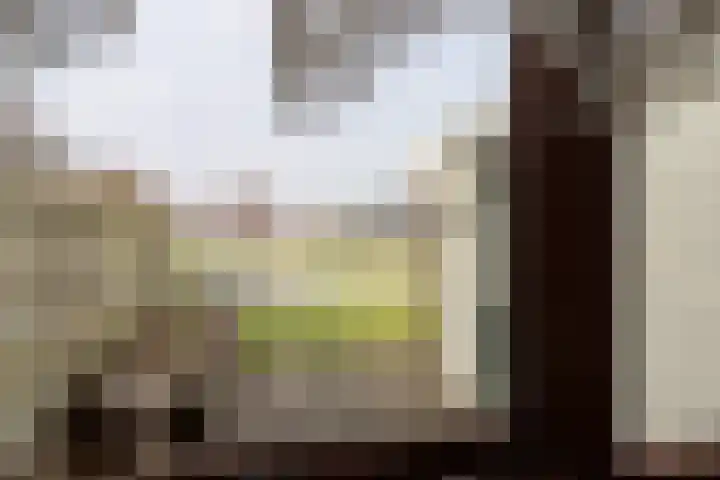 Reidikker 28 Ryptsjerk thumbnail 5