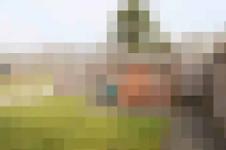 Reidikker 28 Ryptsjerk thumbnail 50