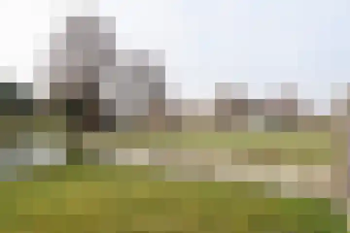 Reidikker 28 Ryptsjerk thumbnail 52