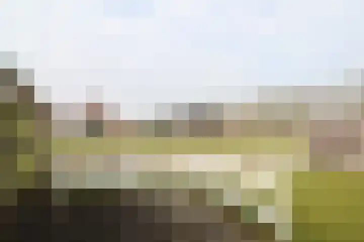 Reidikker 28 Ryptsjerk thumbnail 53
